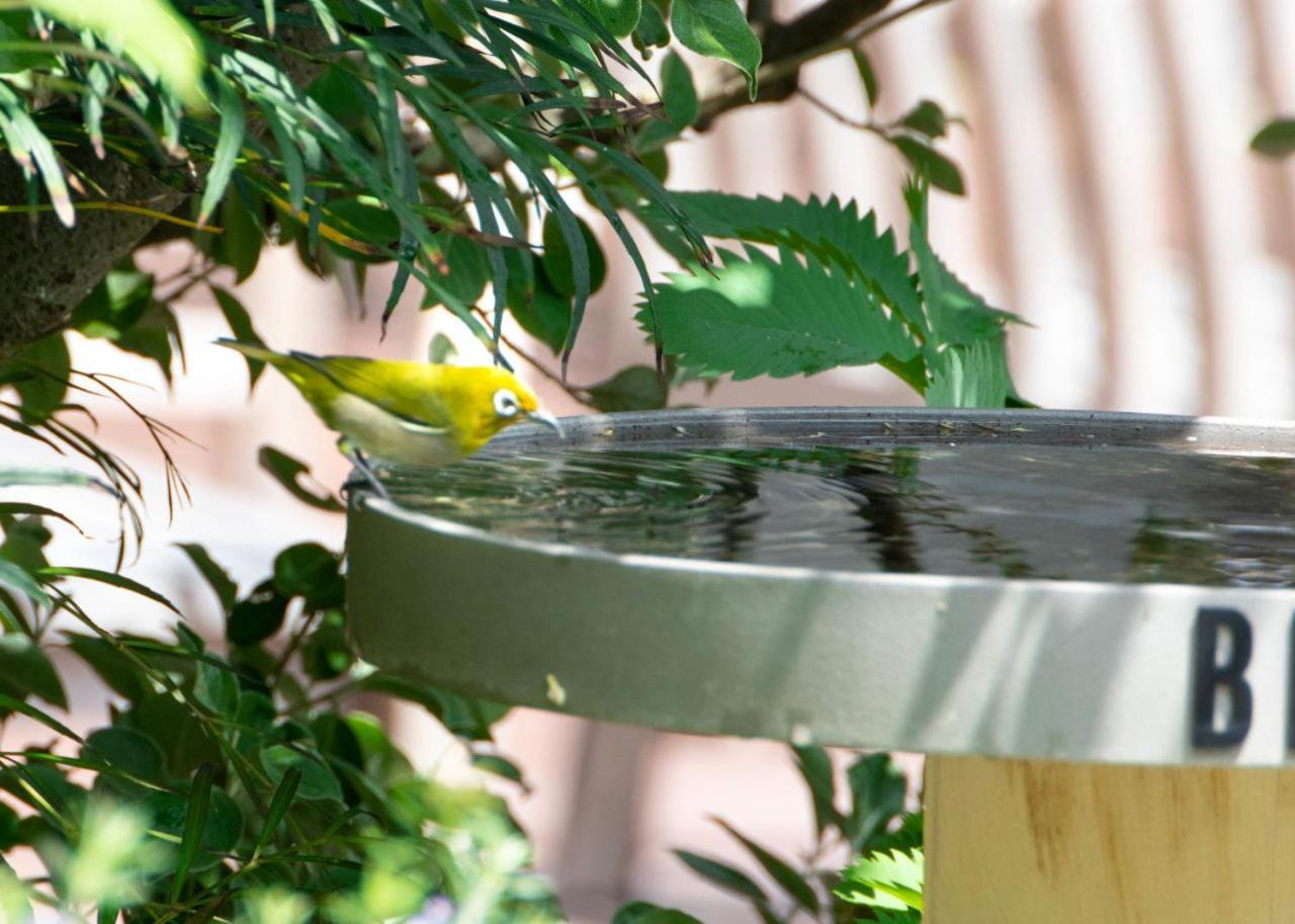 Bird Hotel Kamakura Eksteriør billede